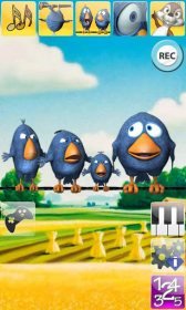 download Talking Birds On A Wire apk